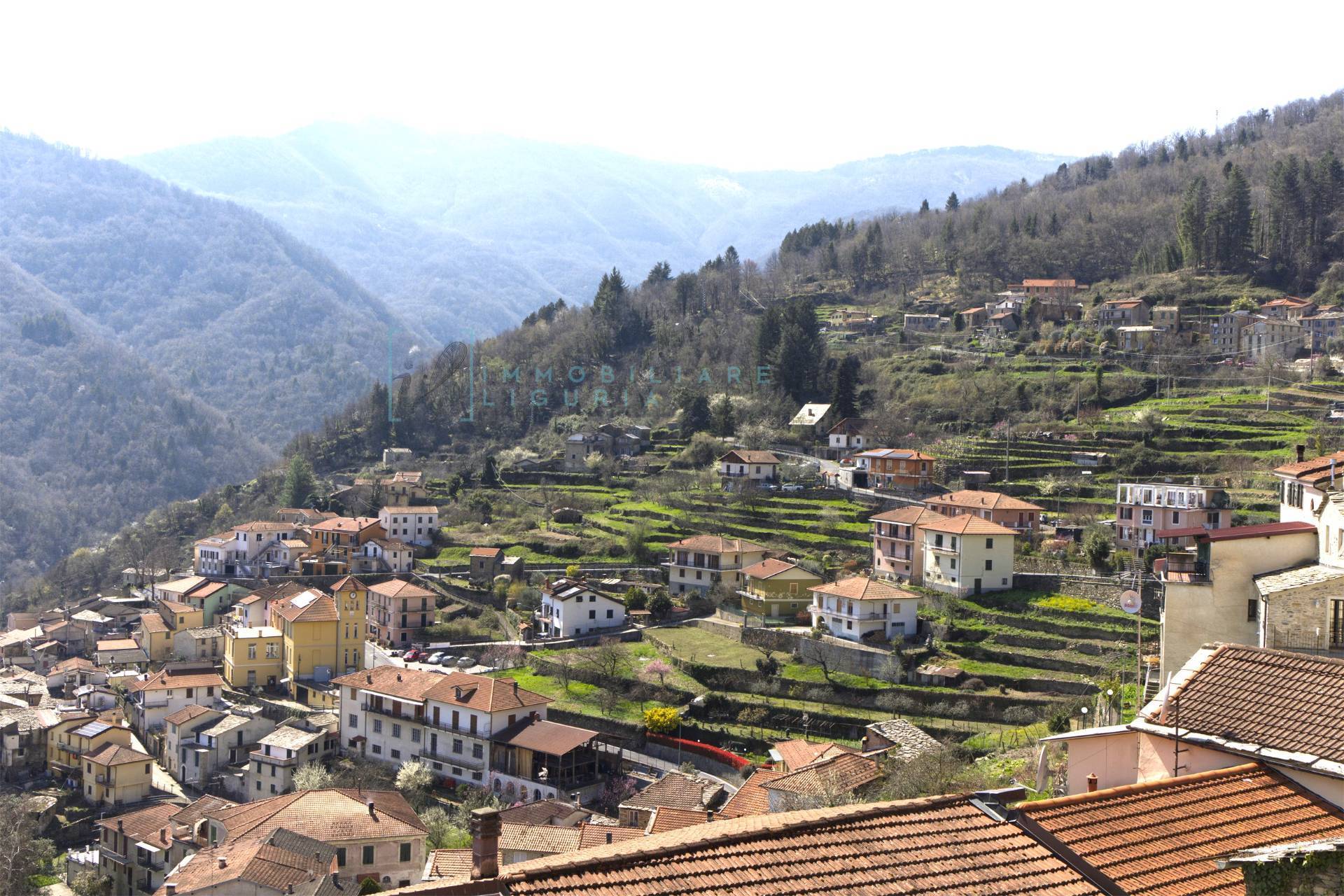 Foto annuncio 35