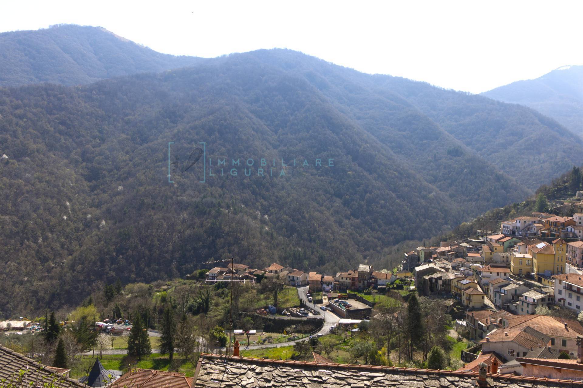 Foto annuncio 36