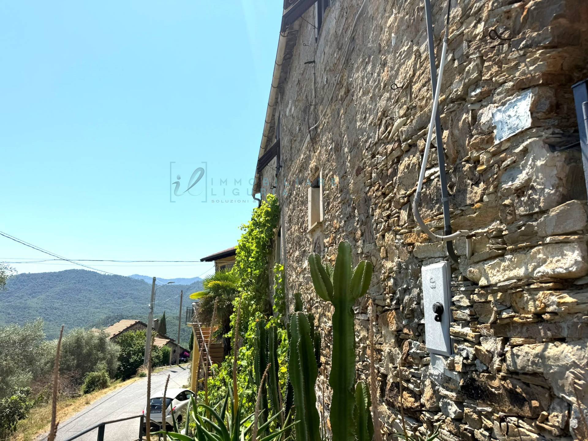 Foto annuncio 54