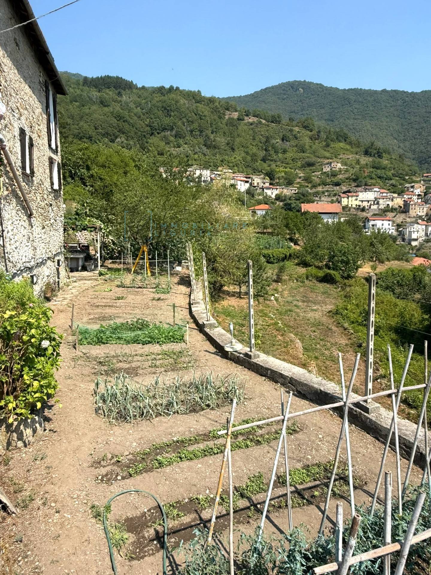 Foto annuncio 22
