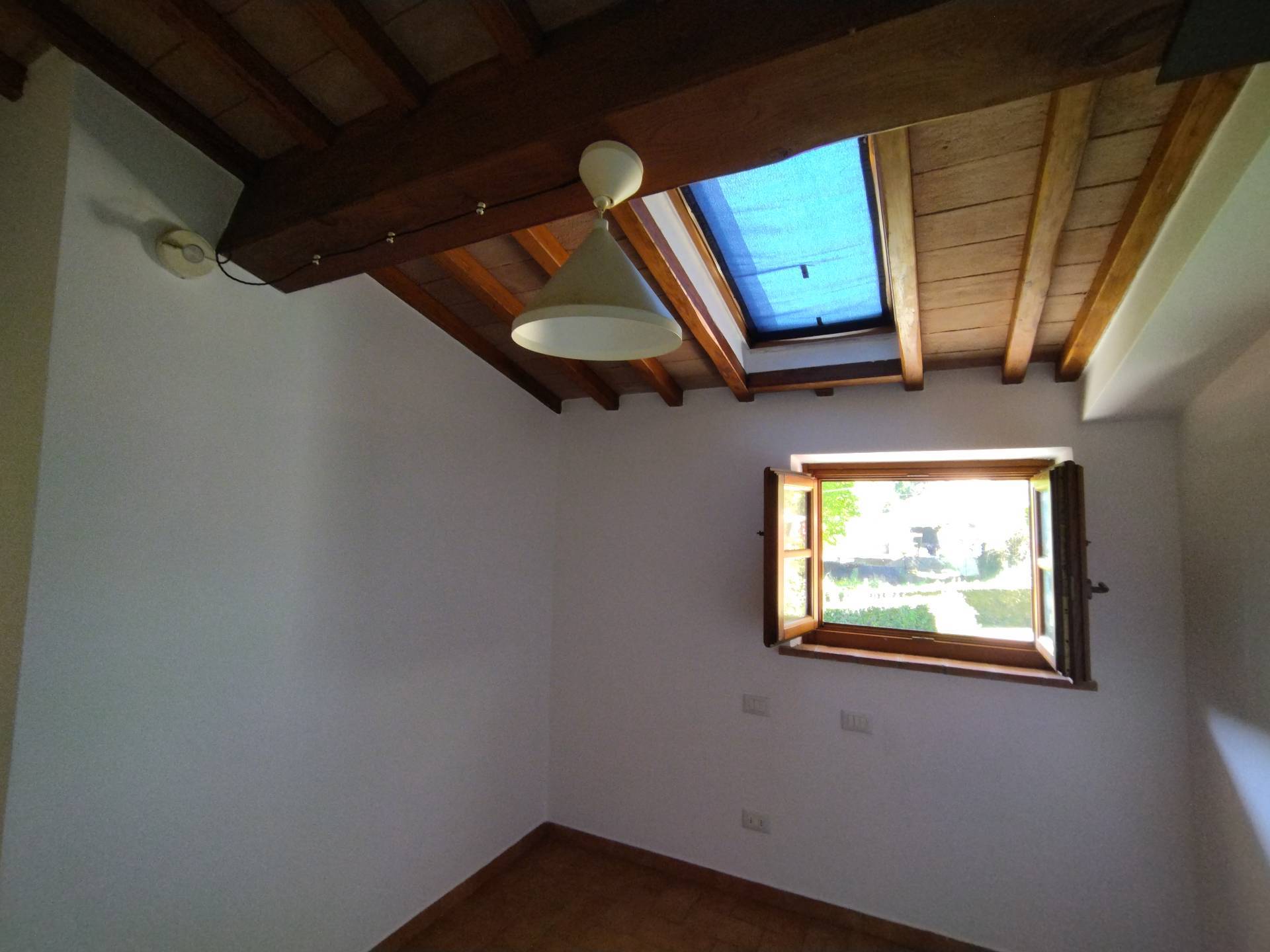 Foto annuncio 28