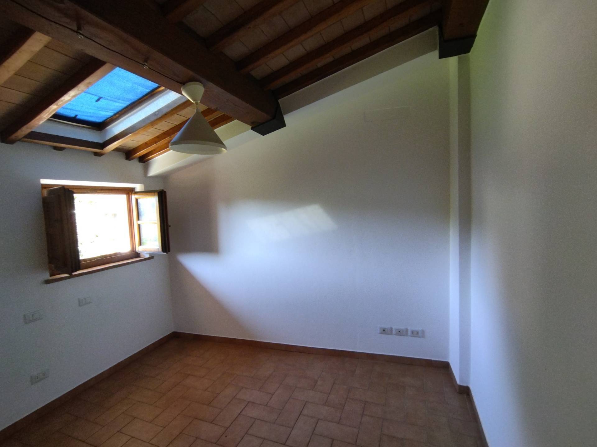 Foto annuncio 29