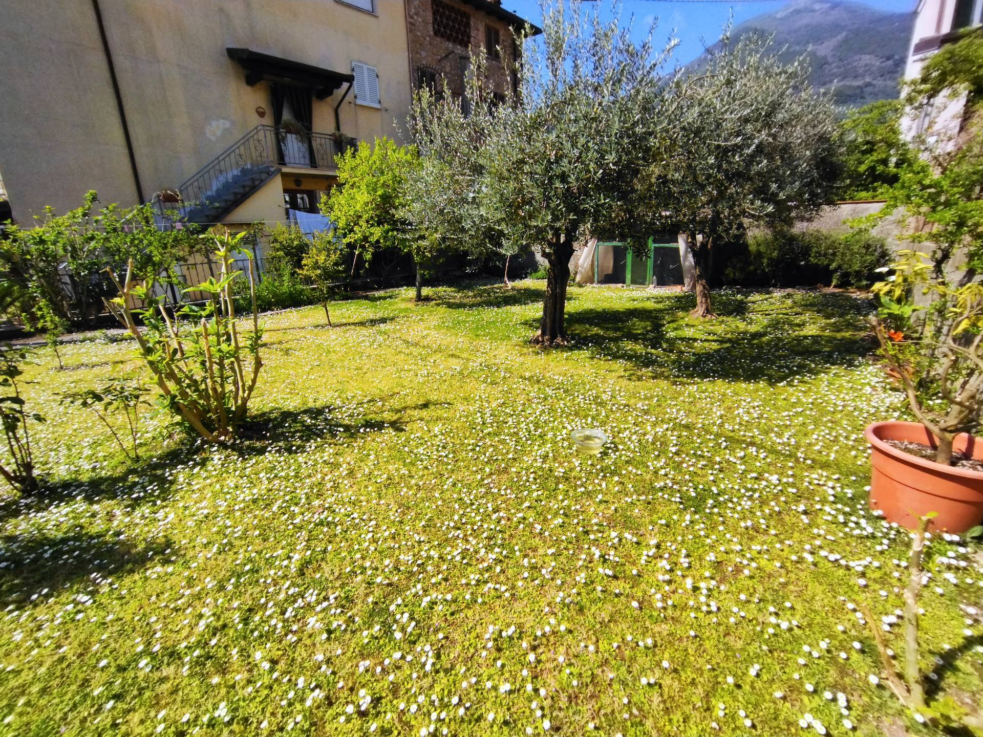 Foto annuncio 6