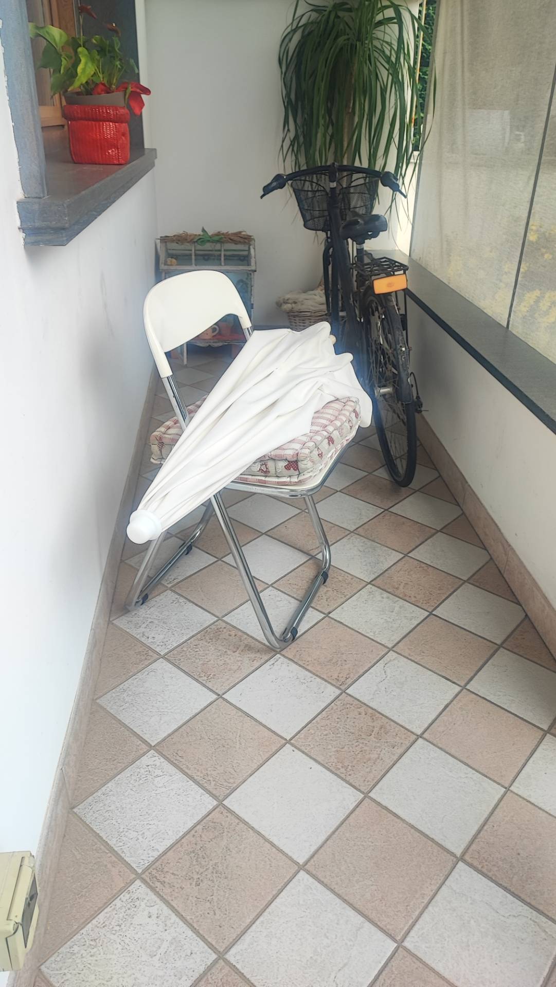 Foto annuncio 12