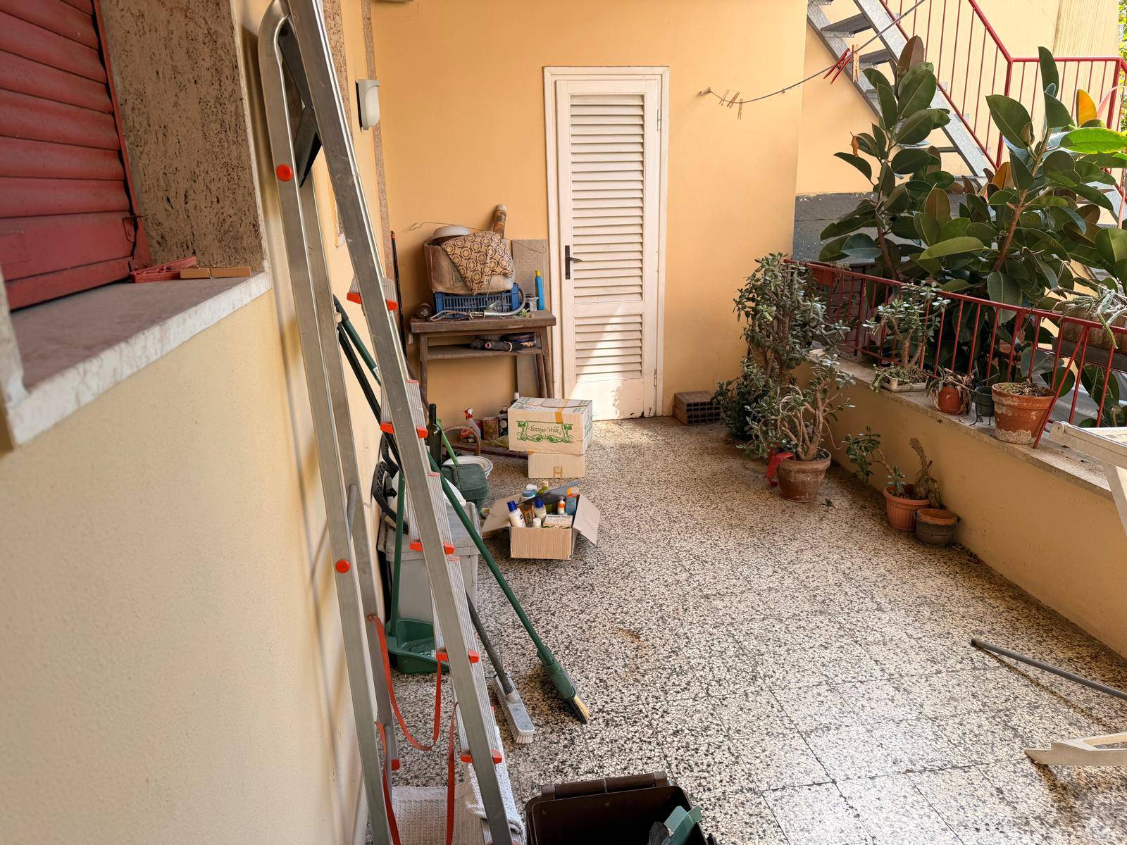 Foto annuncio 11