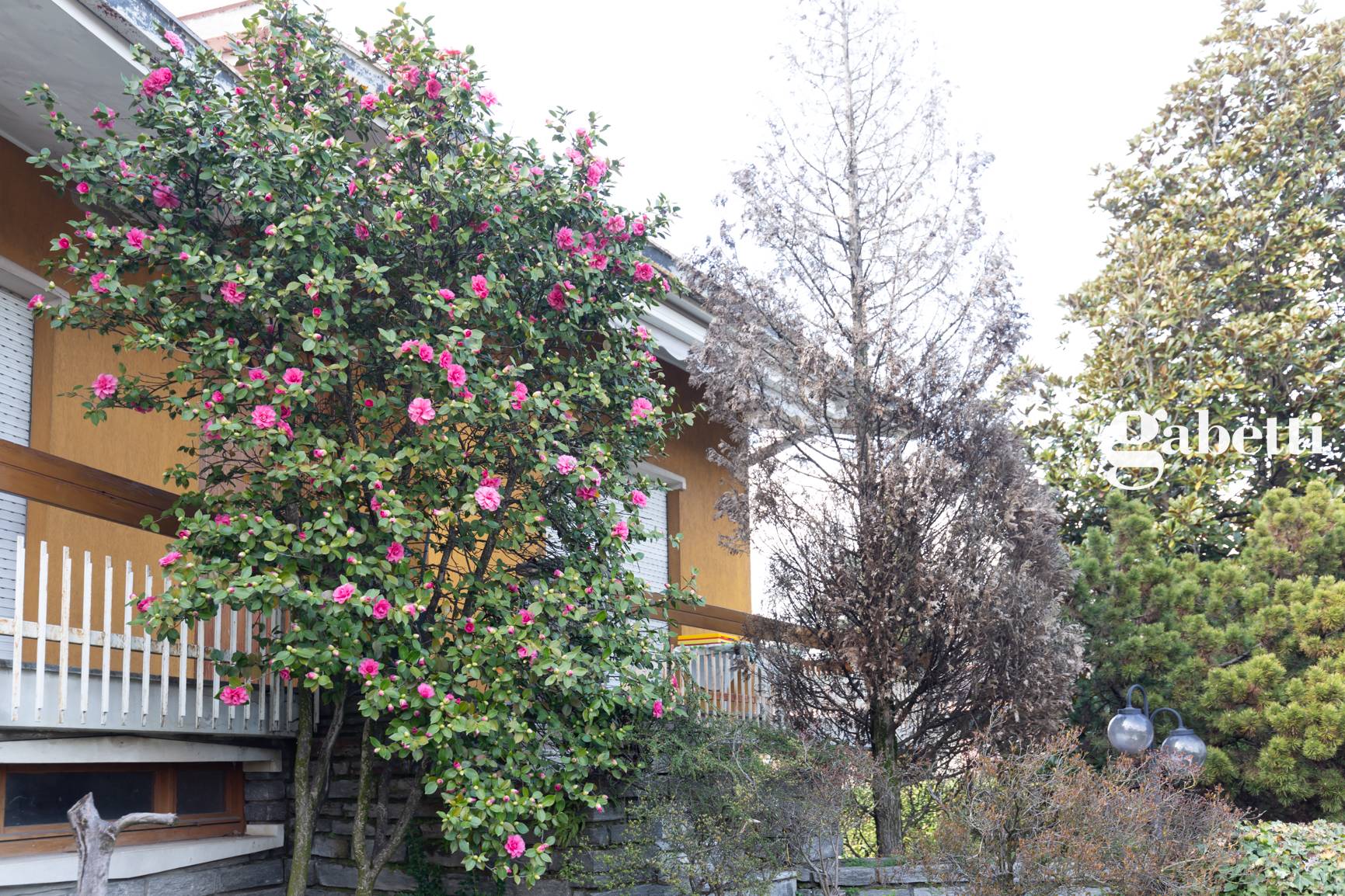 Immagine 5 di Villa in vendita  in Via Trento 28 a Osnago