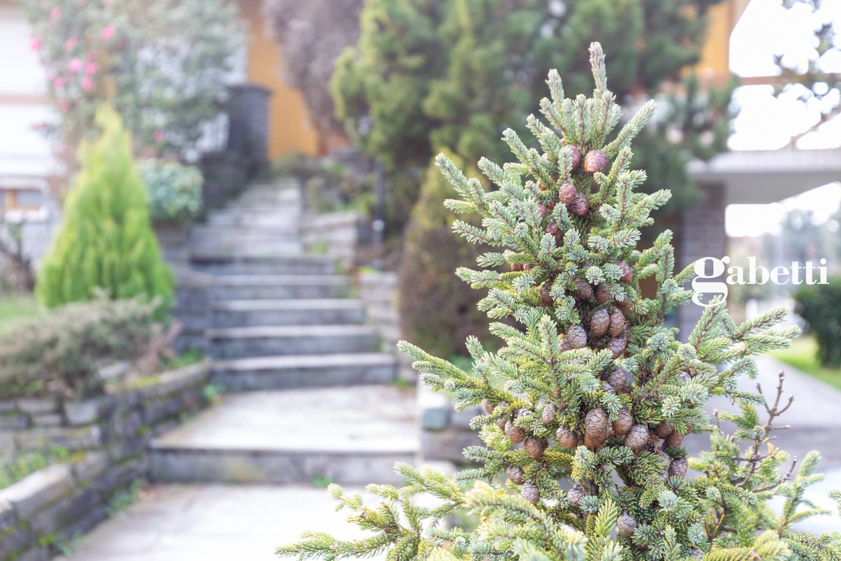 Immagine 10 di Villa in vendita  in Via Trento 28 a Osnago