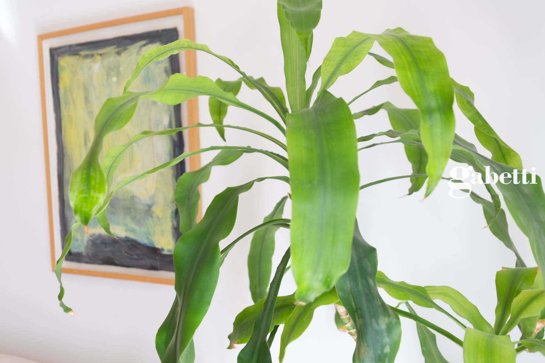 Immagine 15 di Appartamento in vendita  in Via Po' 5 a Lomagna