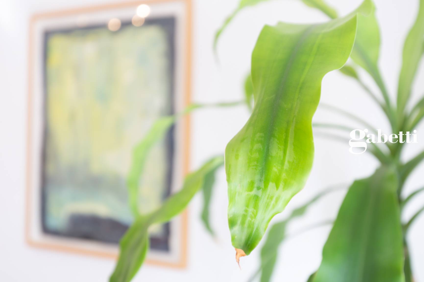 Immagine 16 di Appartamento in vendita  in Via Po' 5 a Lomagna