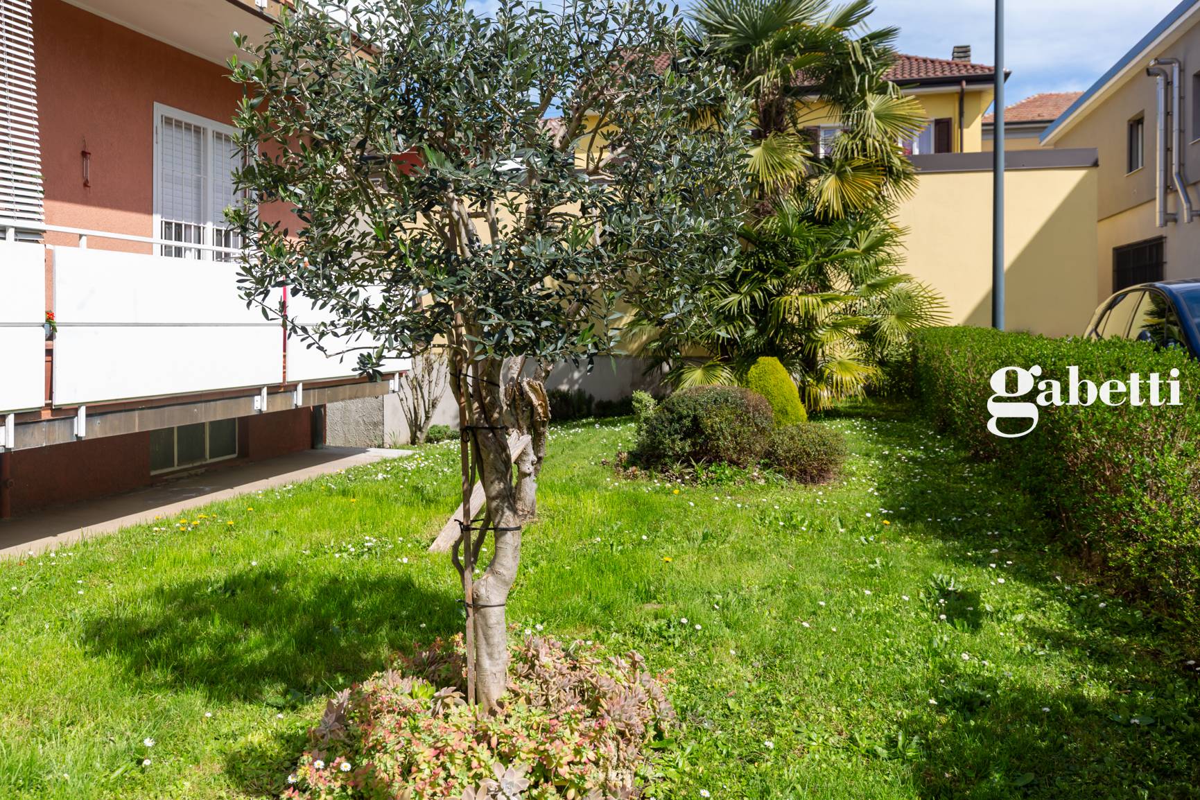 Immagine 3 di Appartamento in vendita  in Via Po' 5 a Lomagna