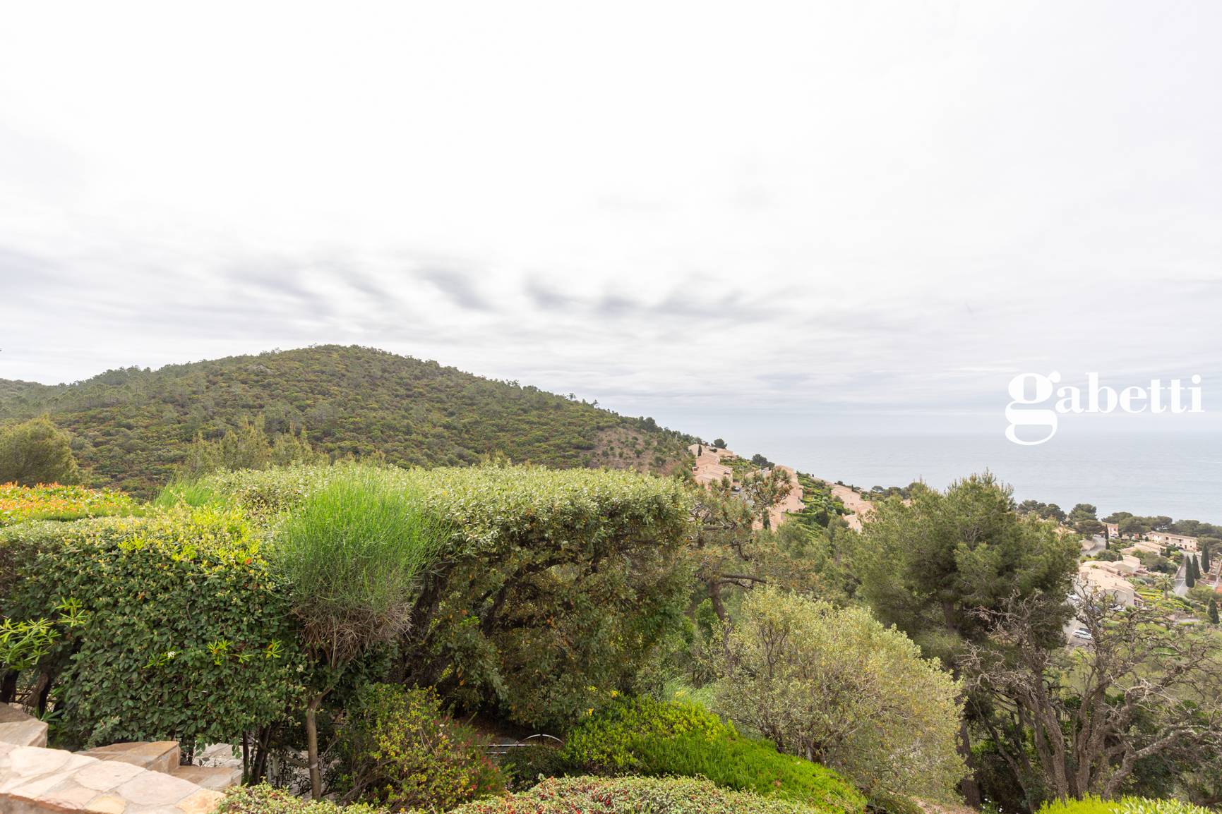 Foto annuncio 4