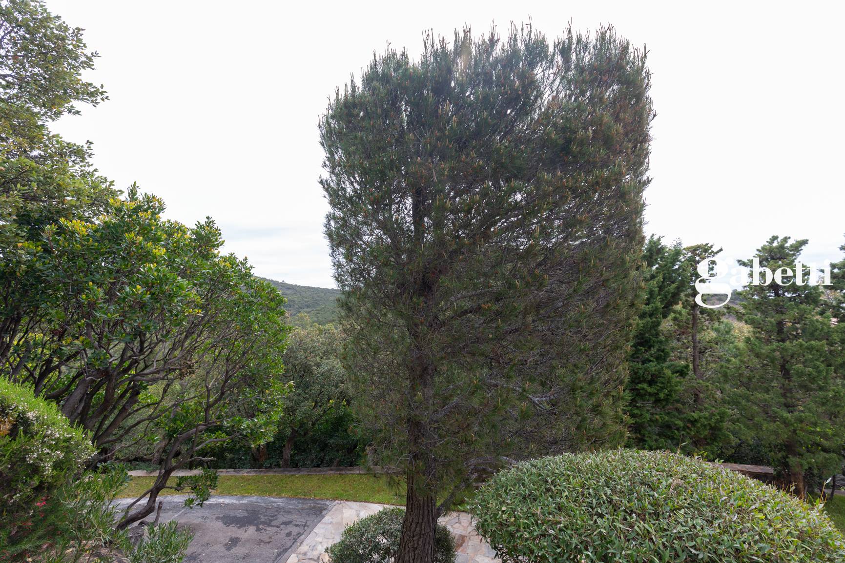 Foto annuncio 9