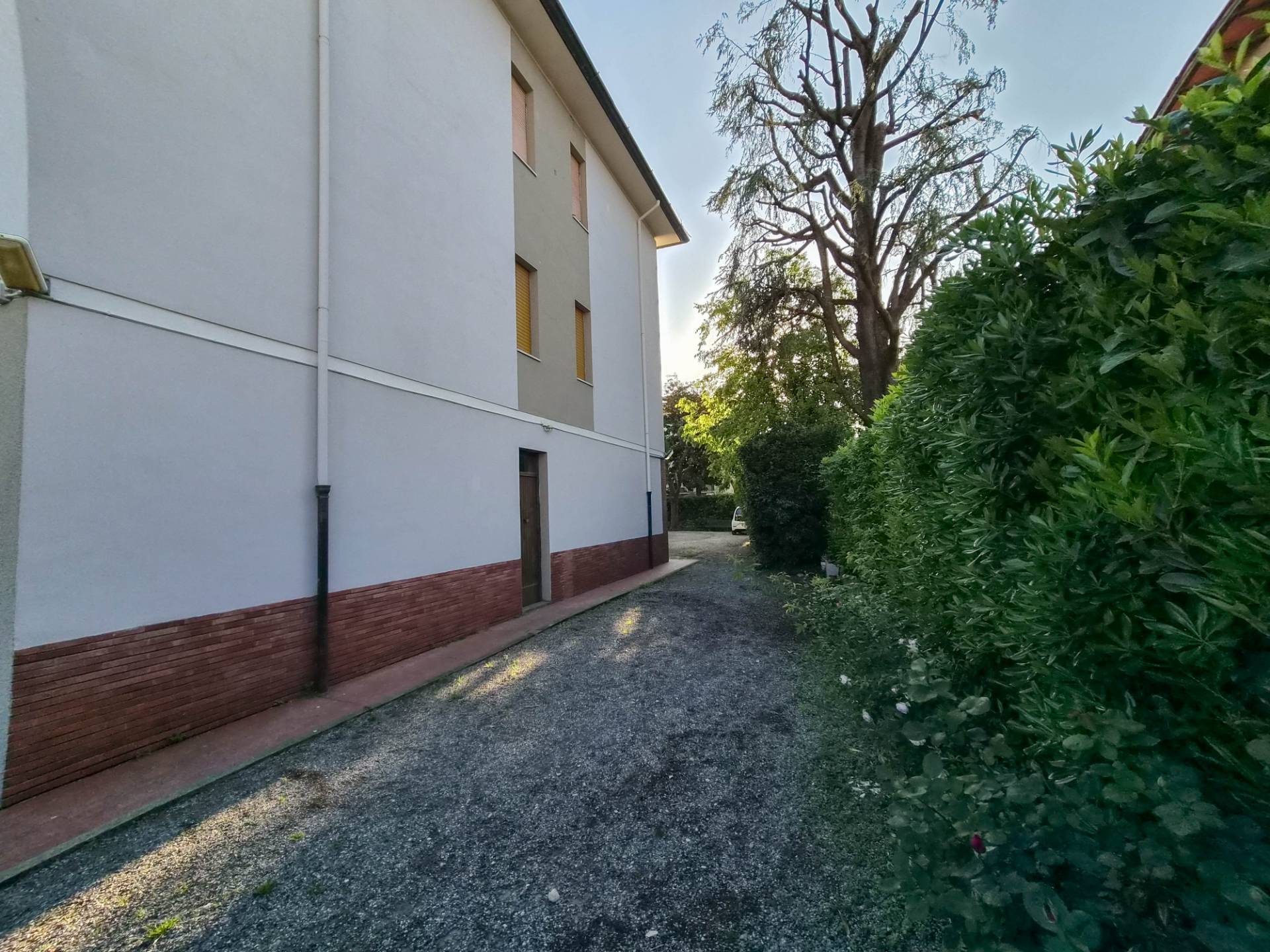 Foto annuncio 20