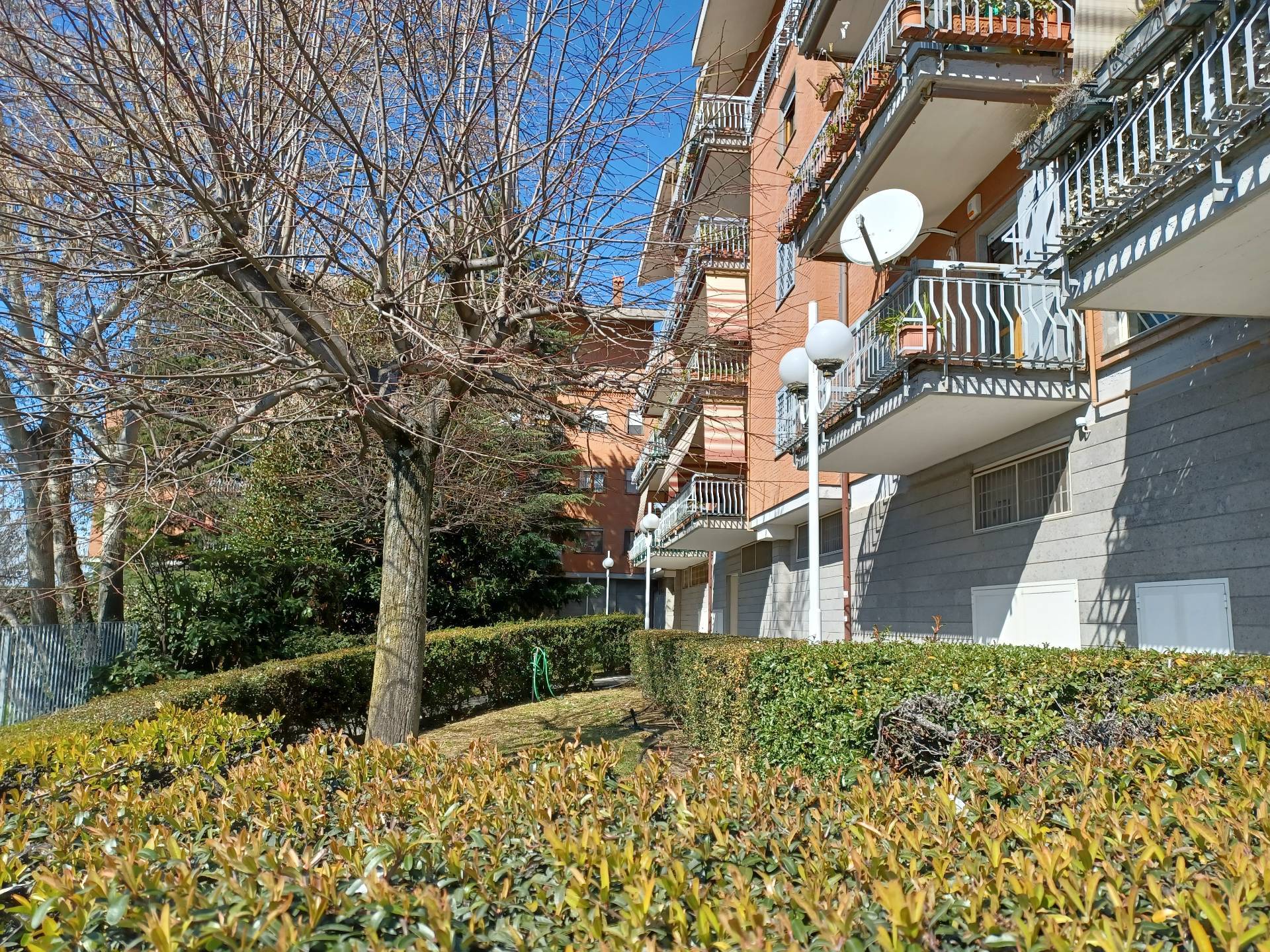 Immagine 2 di Appartamento in affitto  in Via G. Donizetti 24 a Albano Laziale