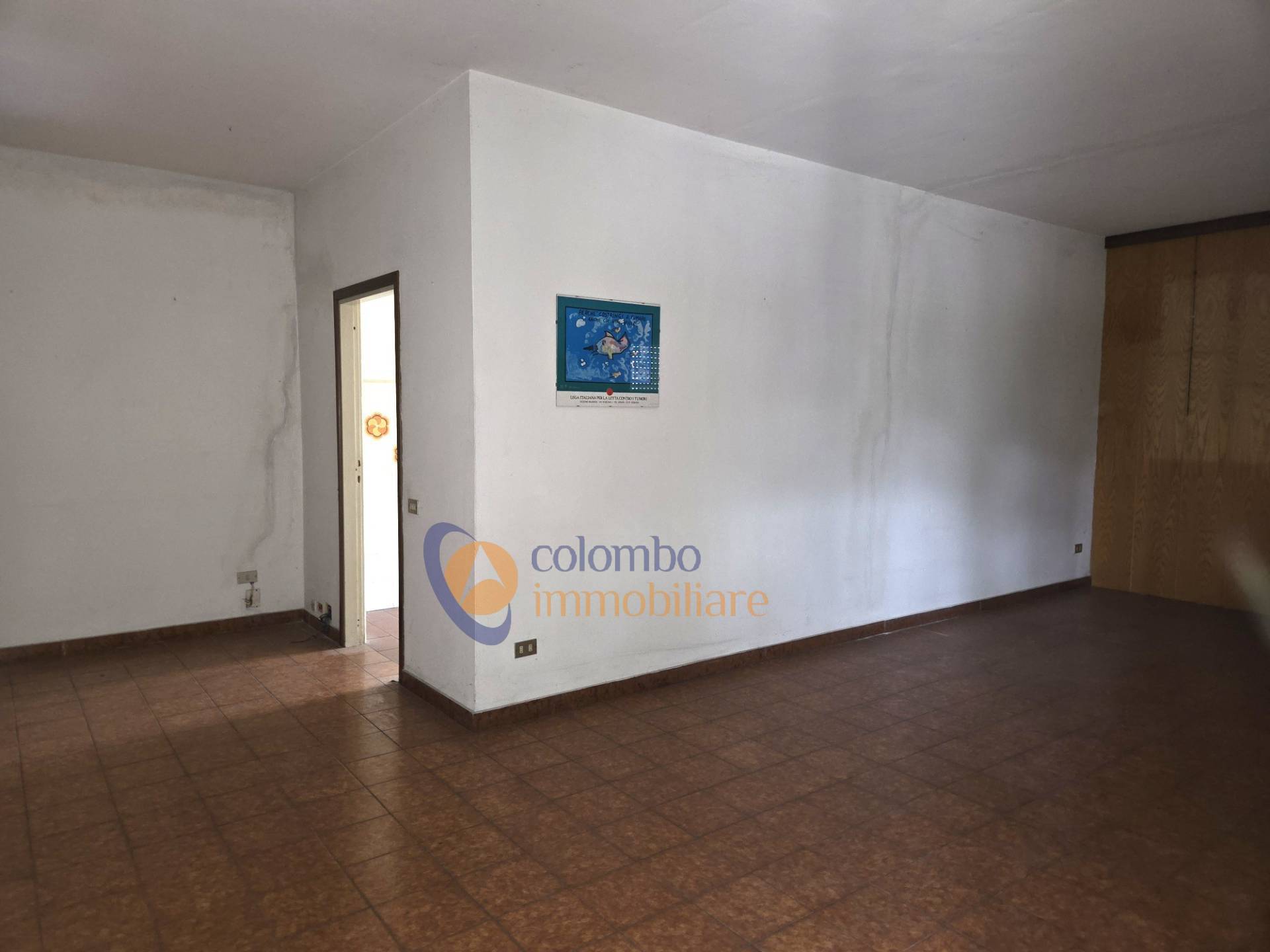 Foto annuncio 9