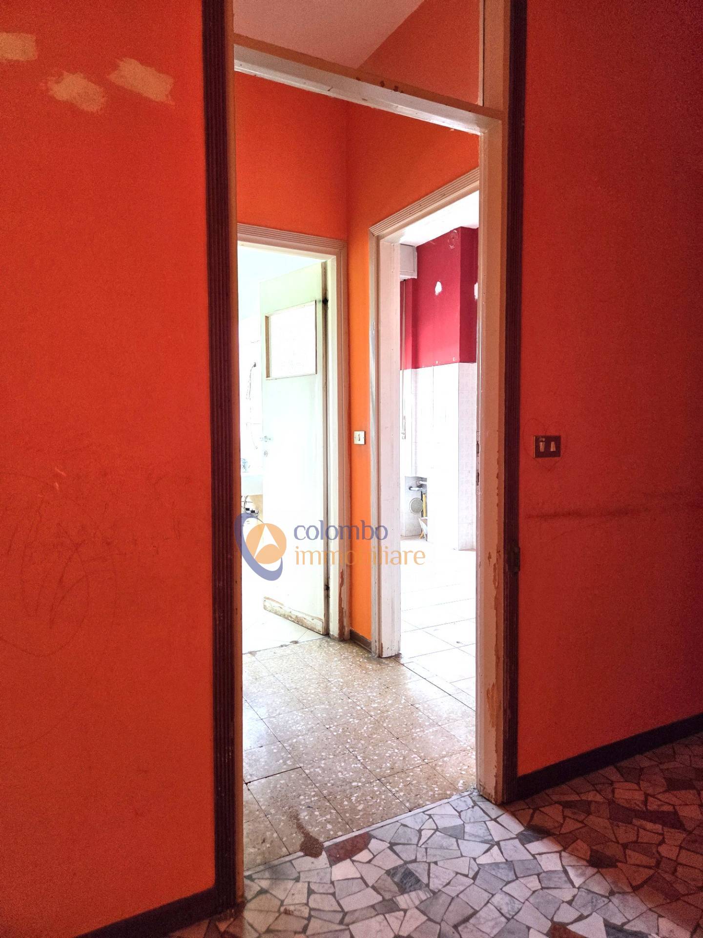 Foto annuncio 9