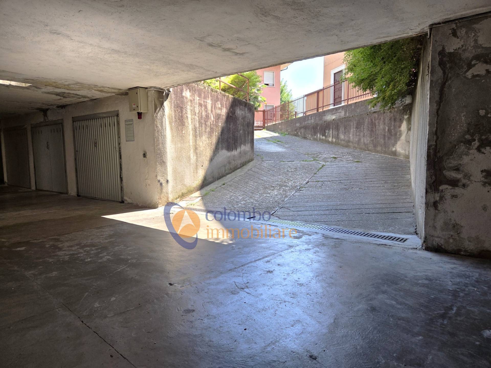 Foto annuncio 26