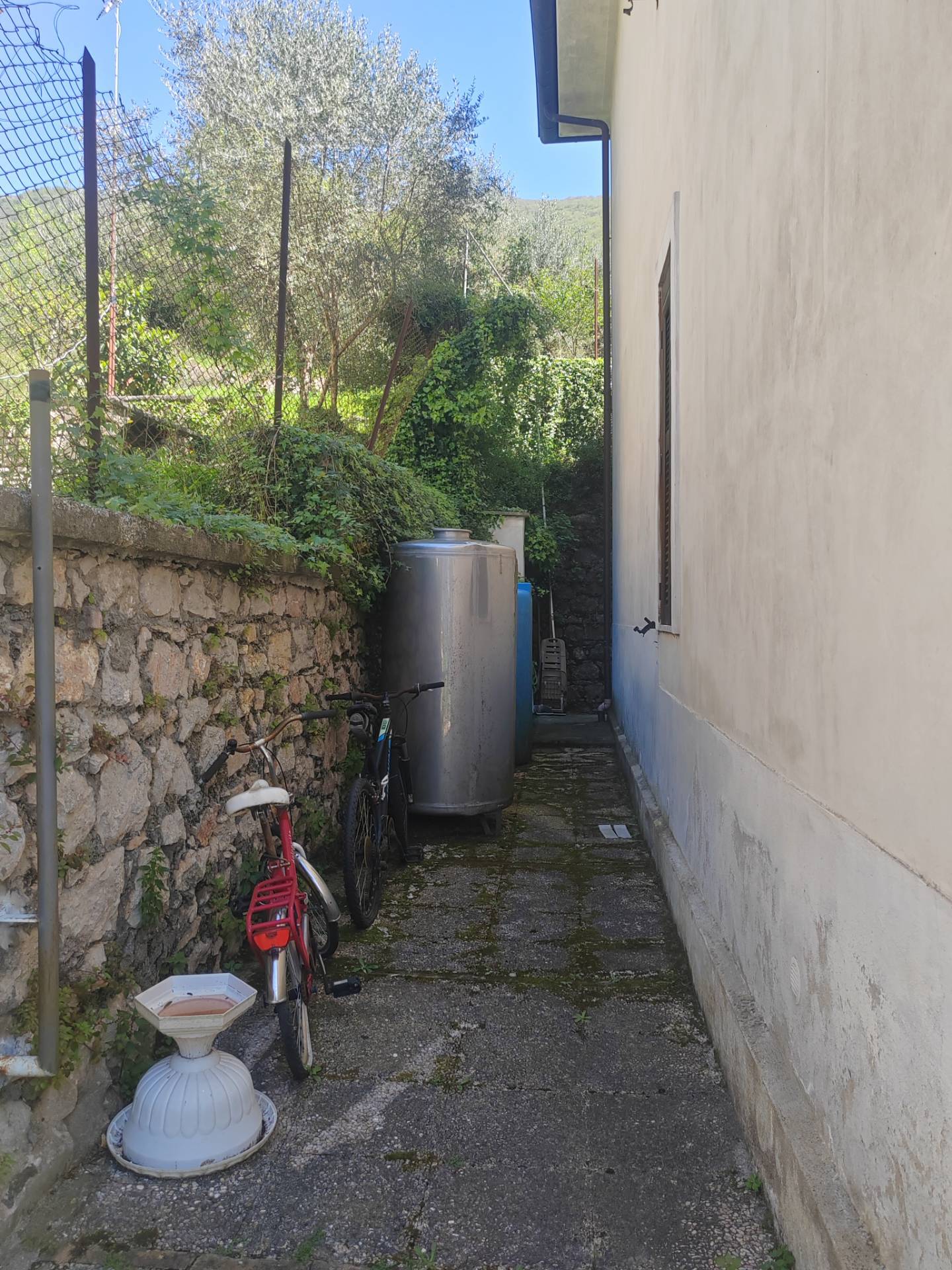 Foto annuncio 15