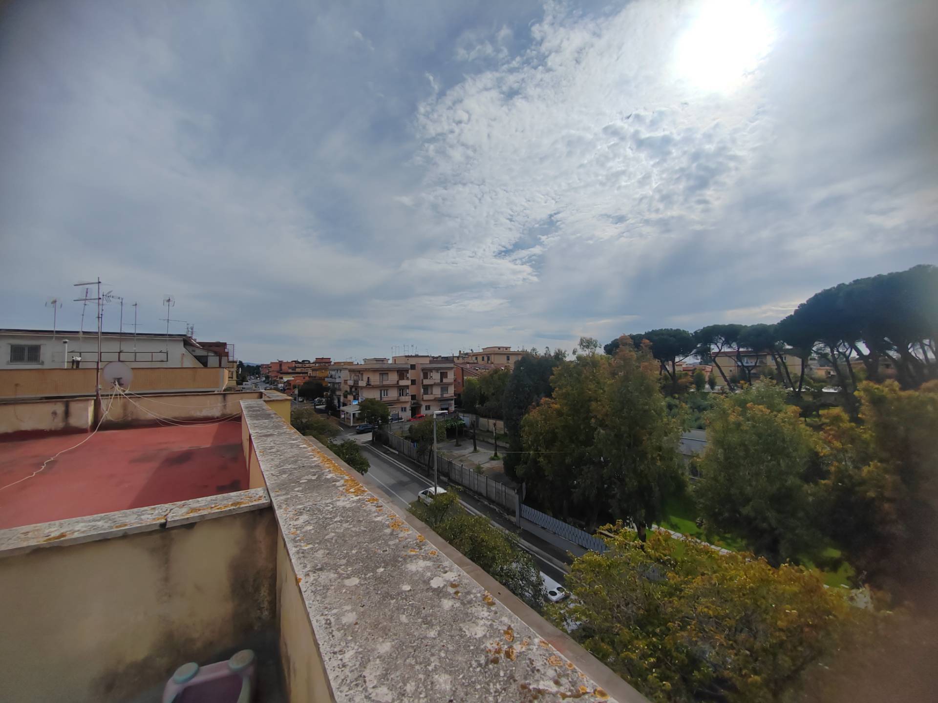 Foto annuncio 5