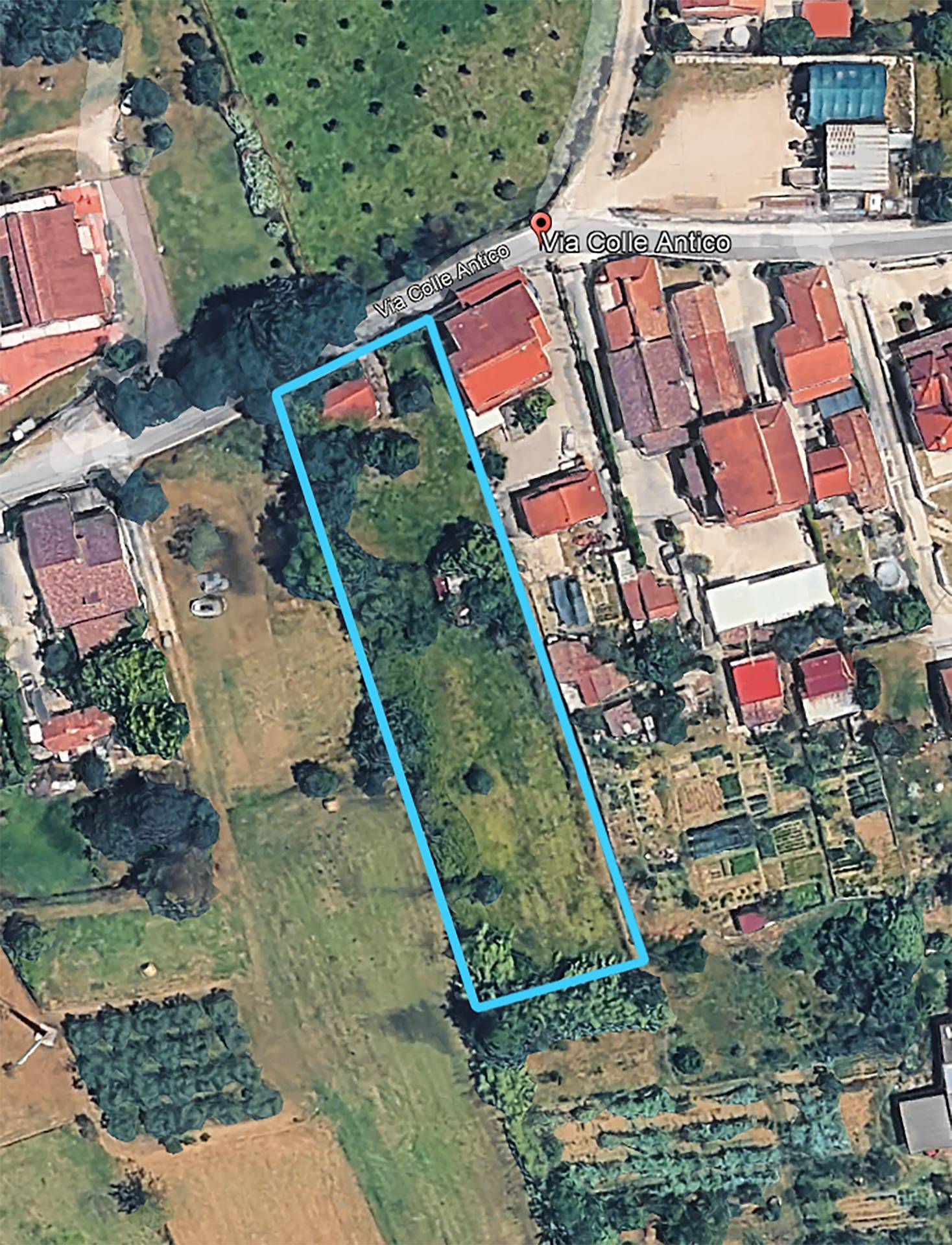 Foto annuncio 1