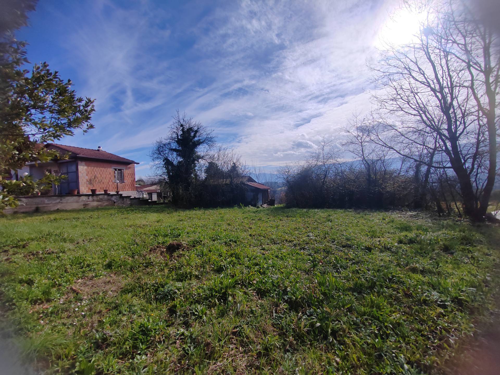 Foto annuncio 5