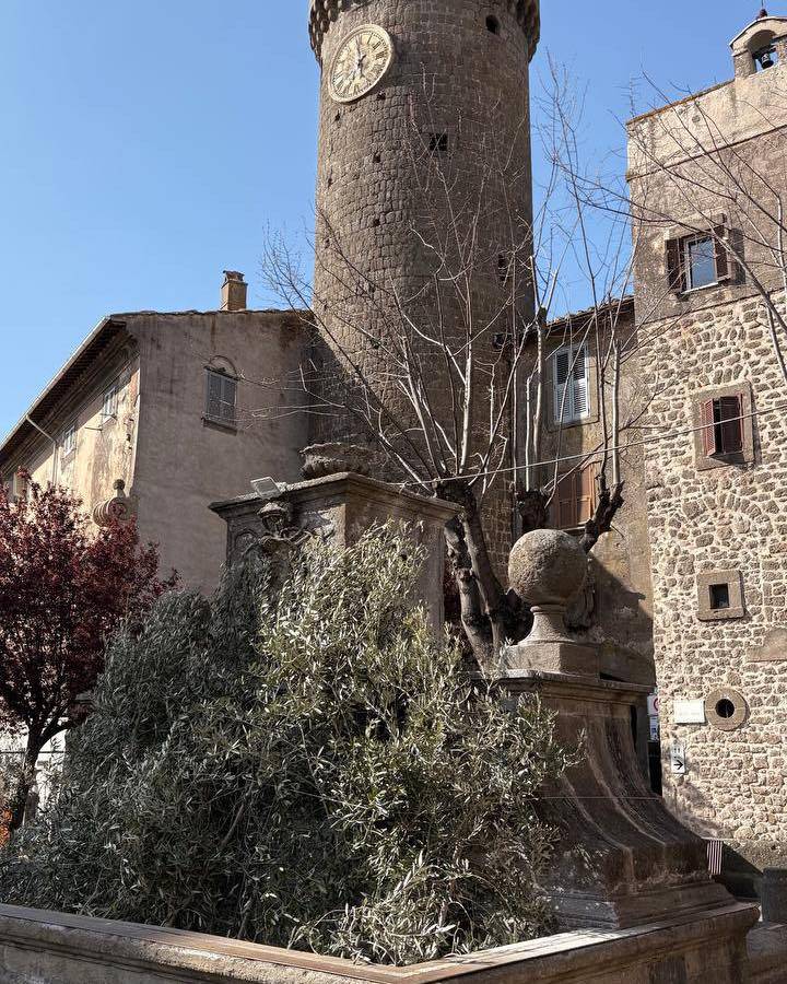 Foto annuncio 16