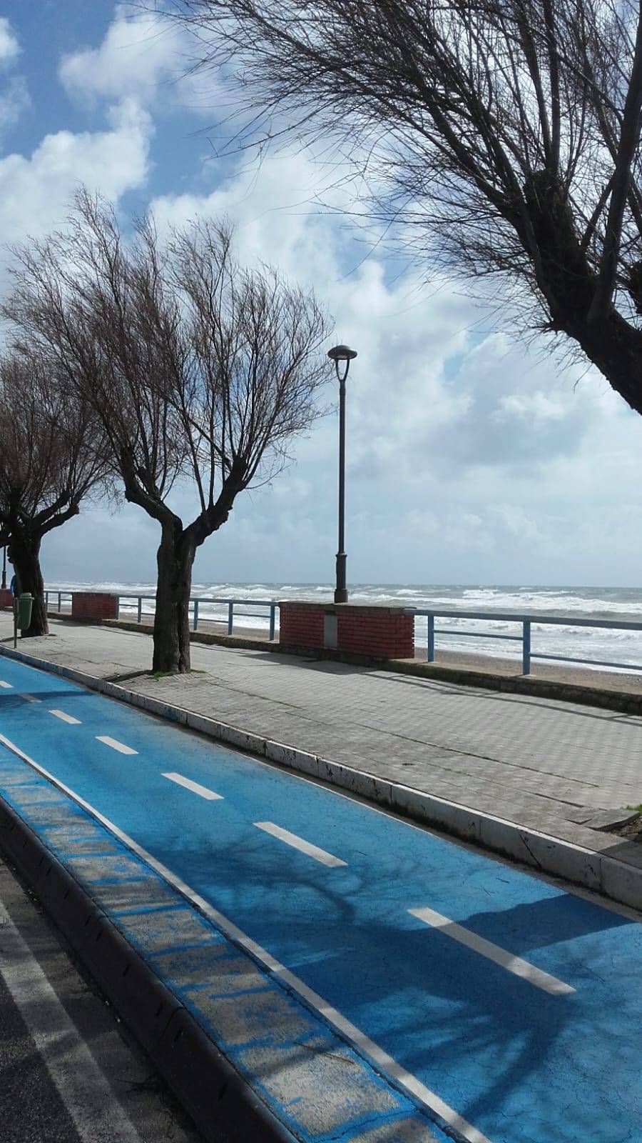 Foto annuncio 19