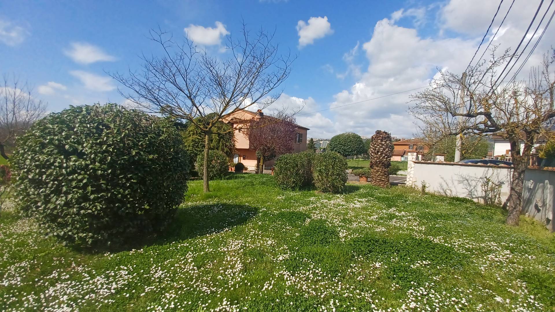 Foto annuncio 7