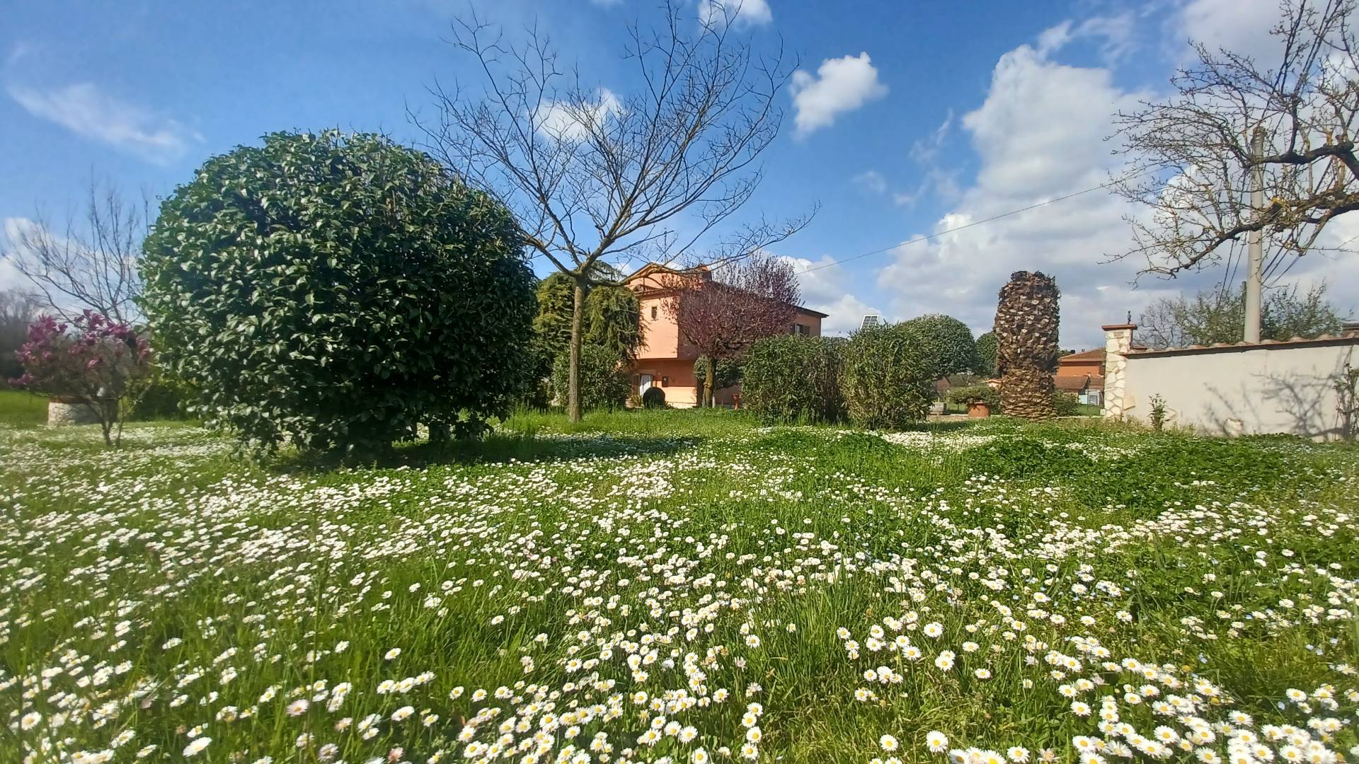 Foto annuncio 8