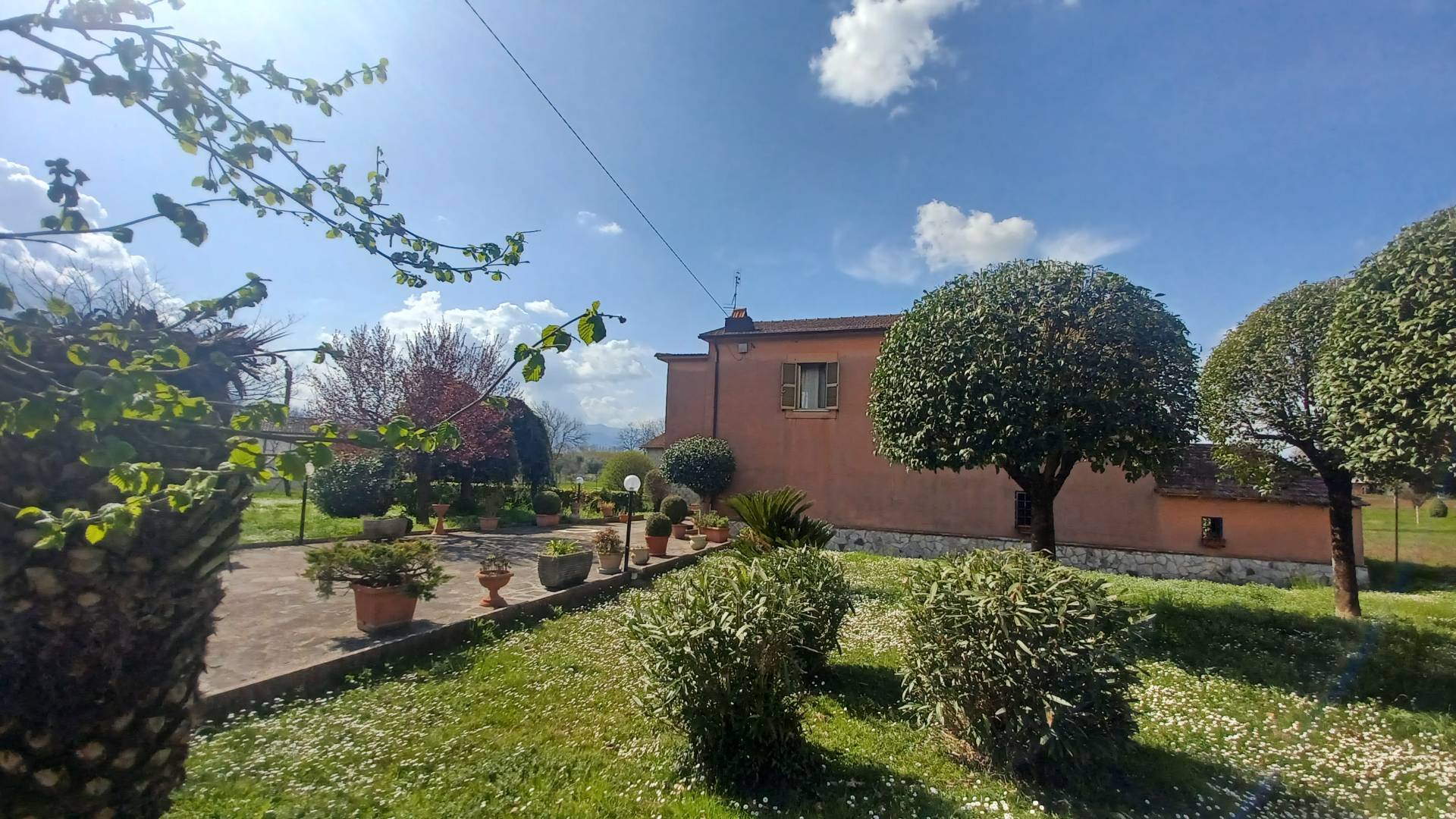 Foto annuncio 24