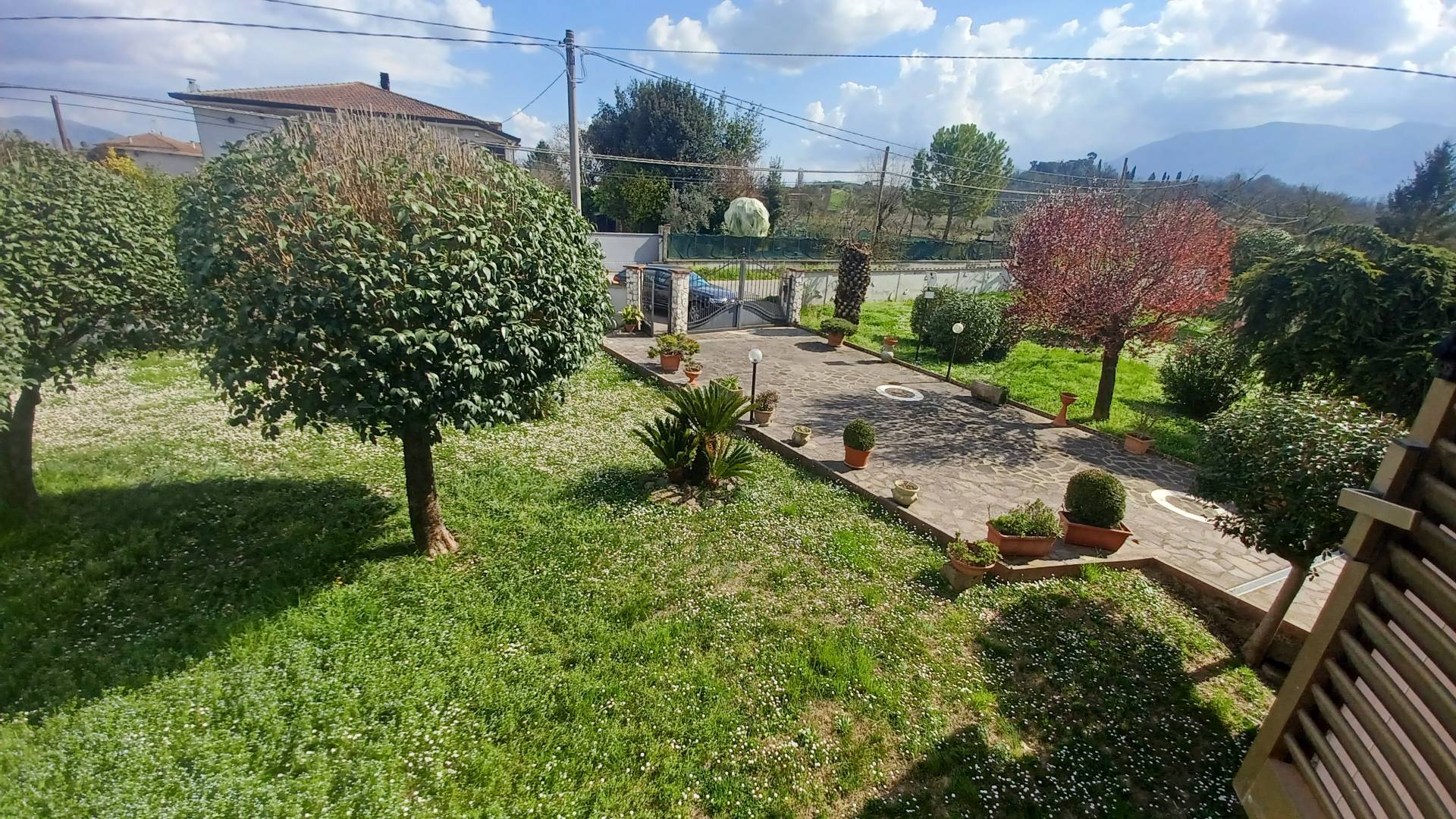 Foto annuncio 29
