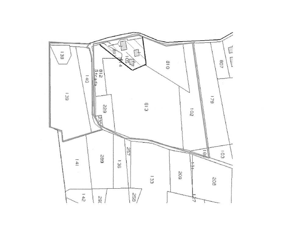 Immagine 6 di Terreno agricolo in vendita  a Serra De' Conti