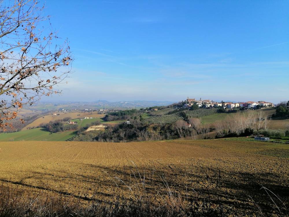 Foto annuncio 10