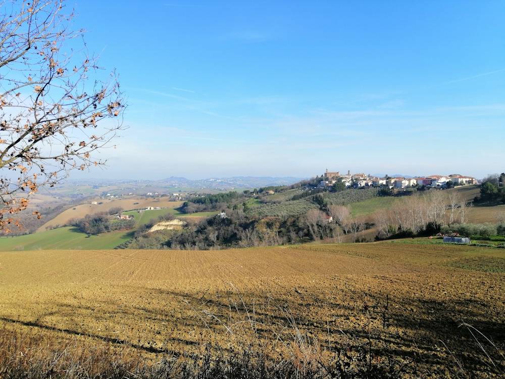 Foto annuncio 19