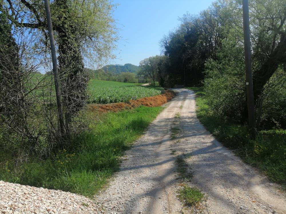 Foto annuncio 9