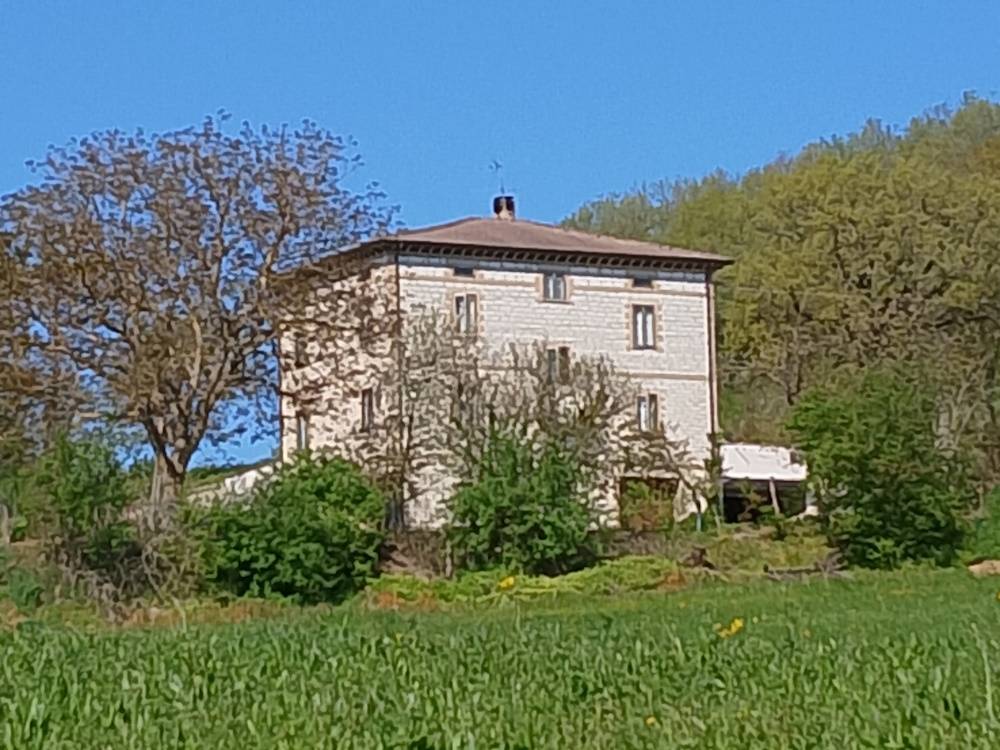 Foto annuncio 1