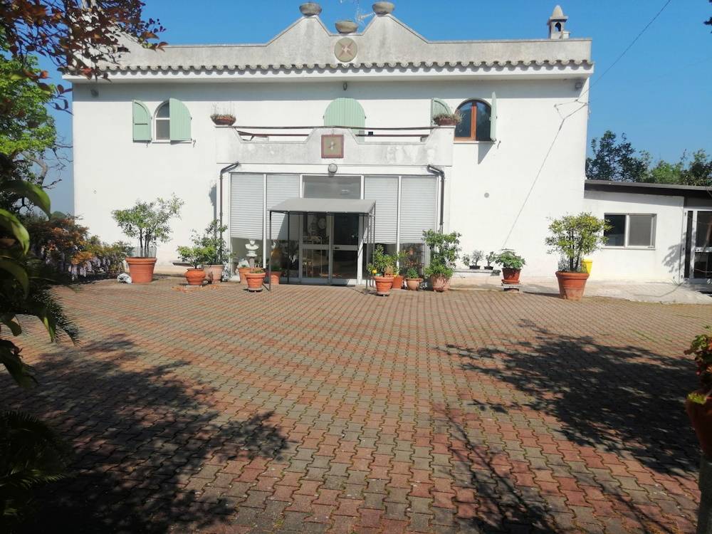 Foto annuncio 1