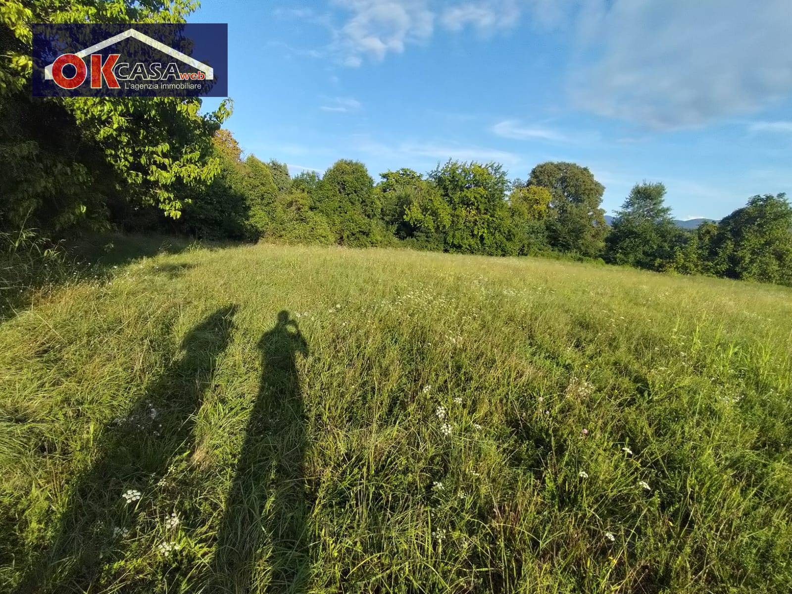 Immagine 5 di Villa in vendita  in Via delle Vallette a Gorizia