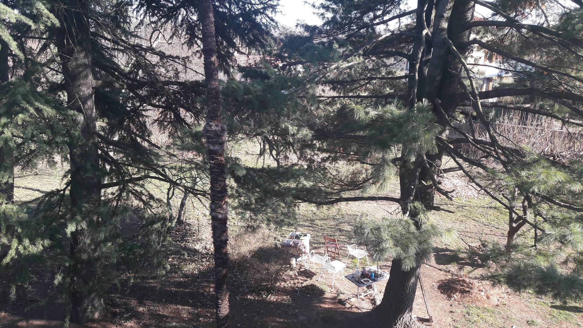 Immagine 9 di Villa in vendita  a Besano