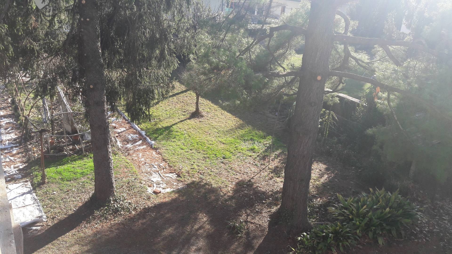 Immagine 10 di Villa in vendita  a Besano