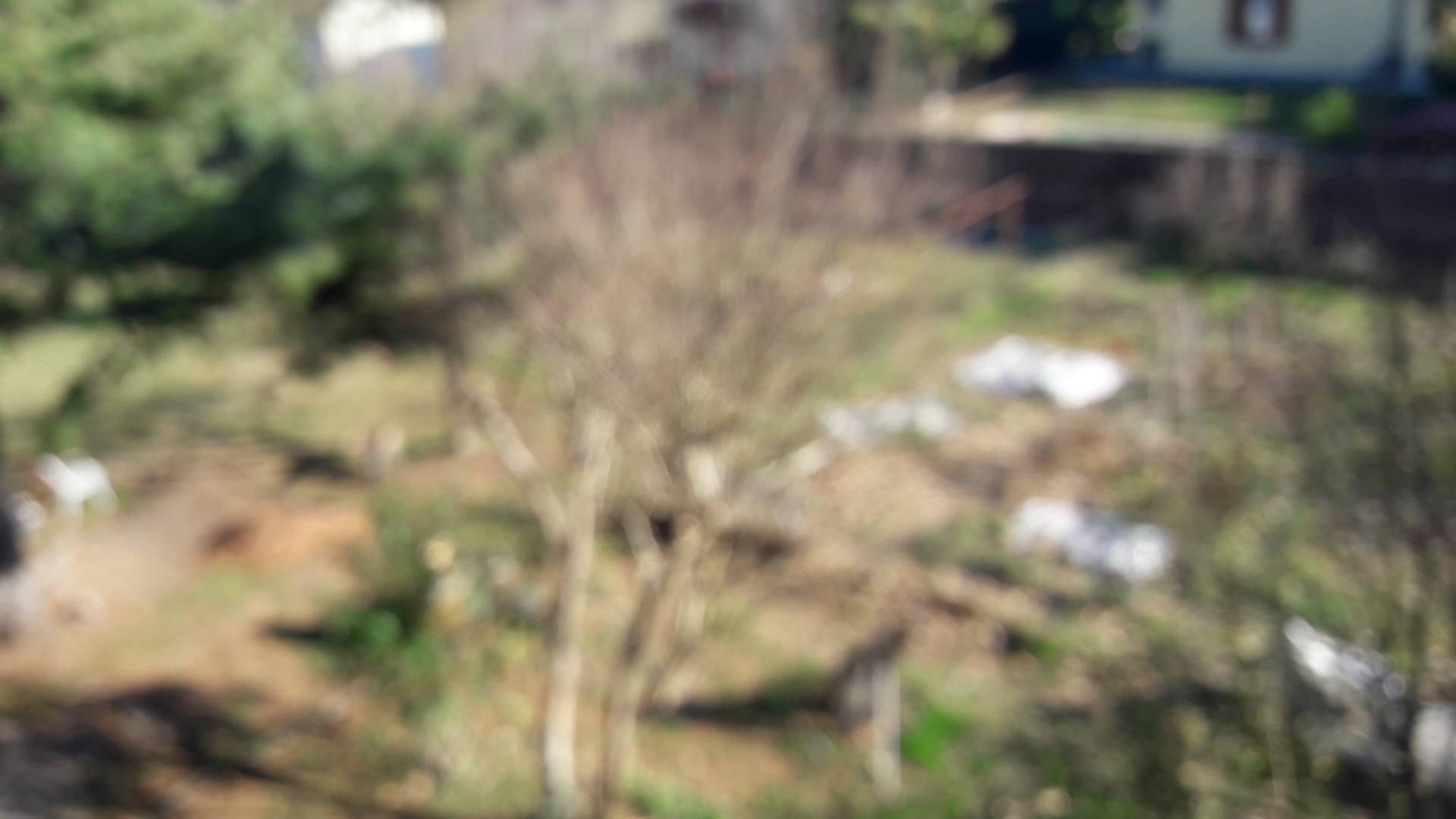 Immagine 12 di Villa in vendita  a Besano