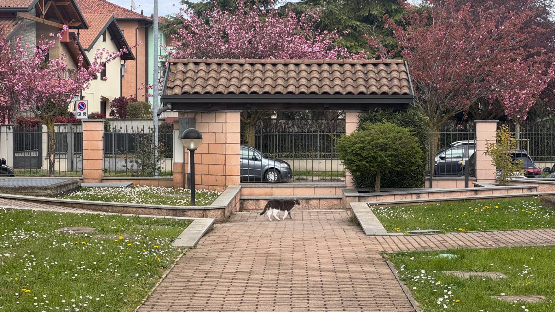 Foto annuncio 20