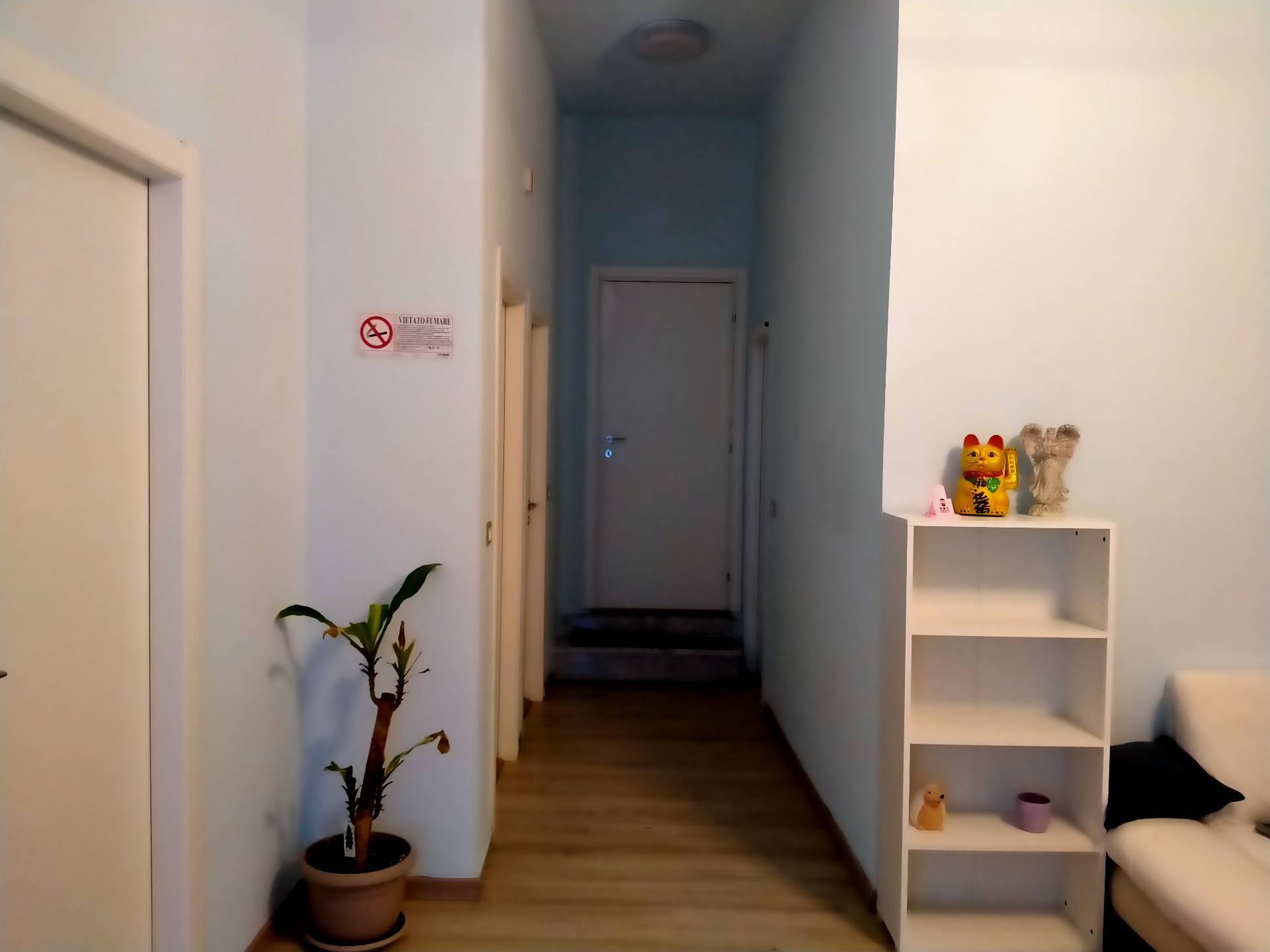 Foto annuncio 3