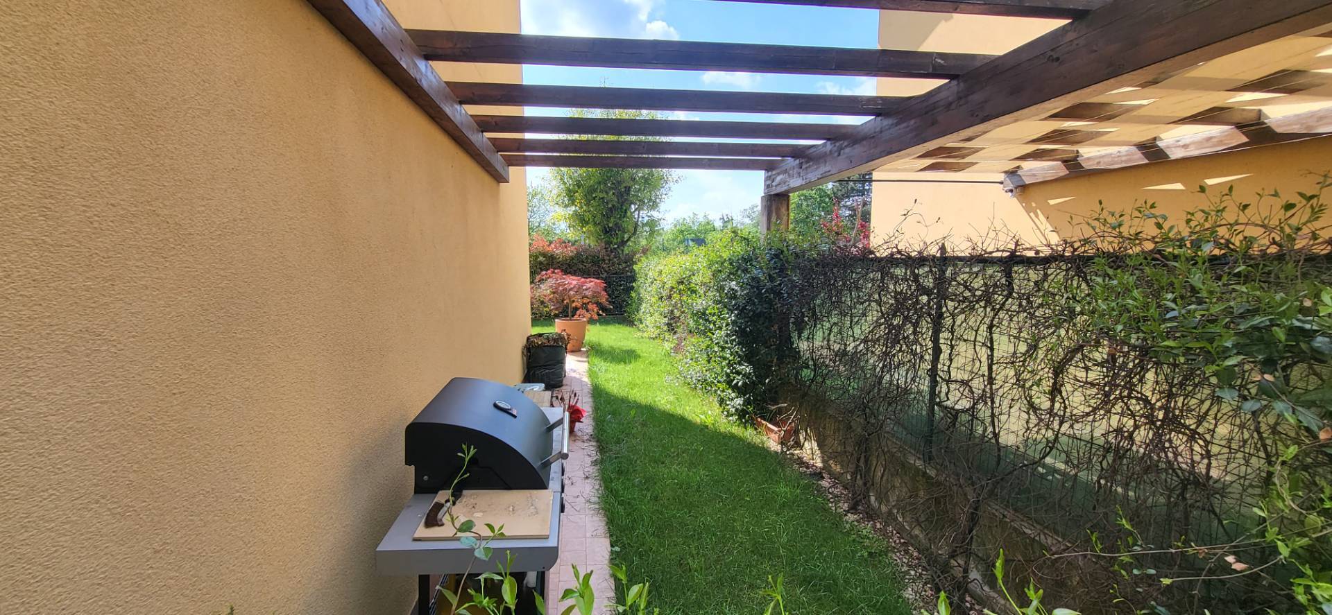 Foto annuncio 19