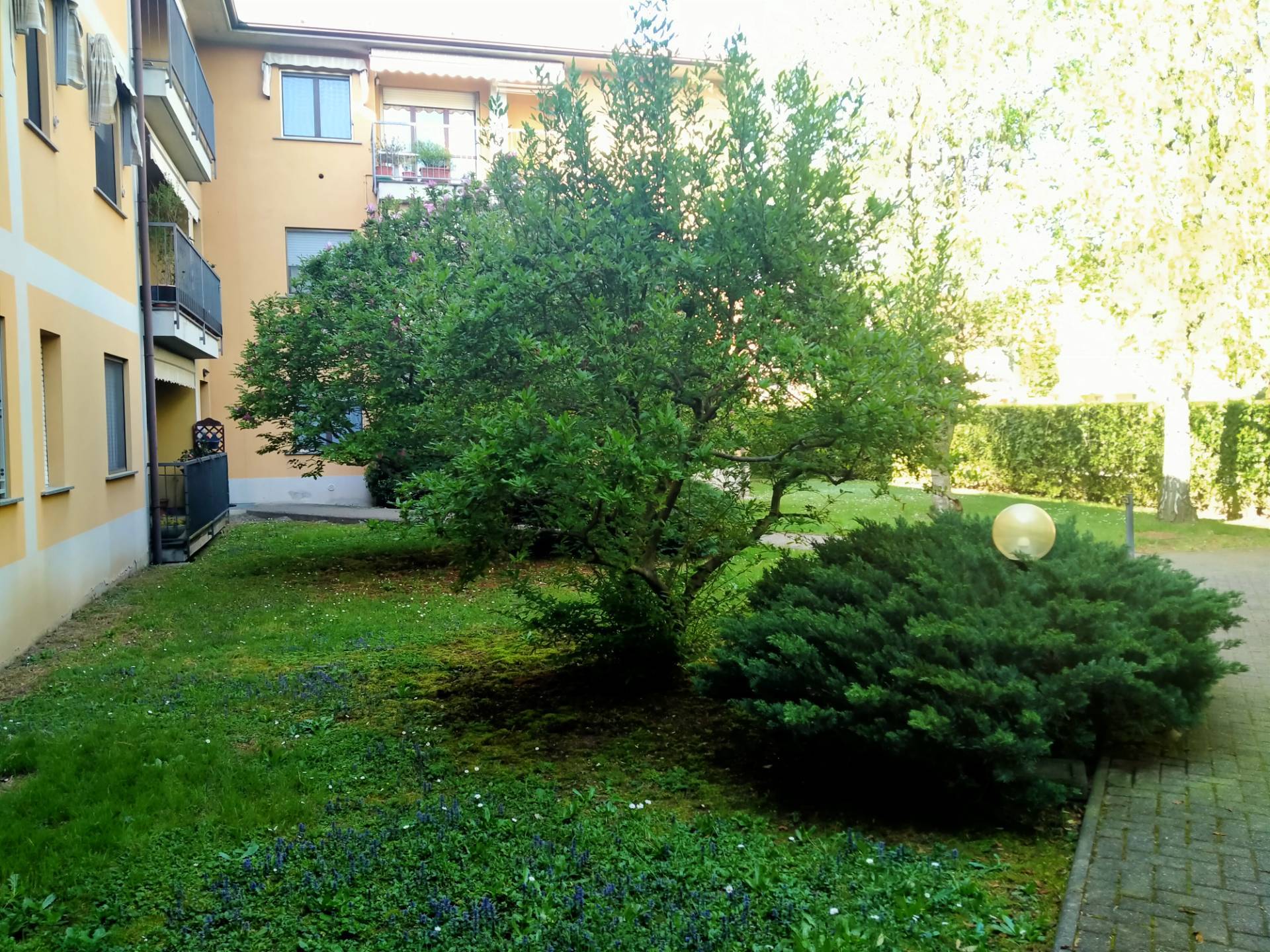 Foto annuncio 40
