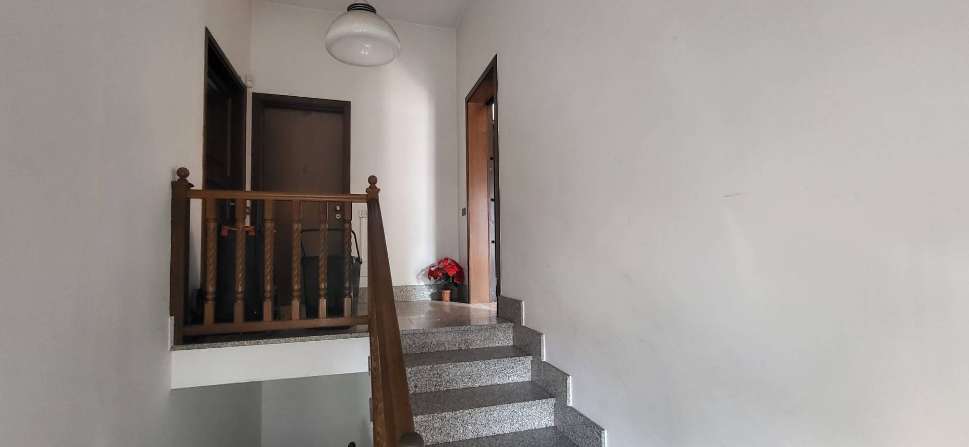 Foto annuncio 25