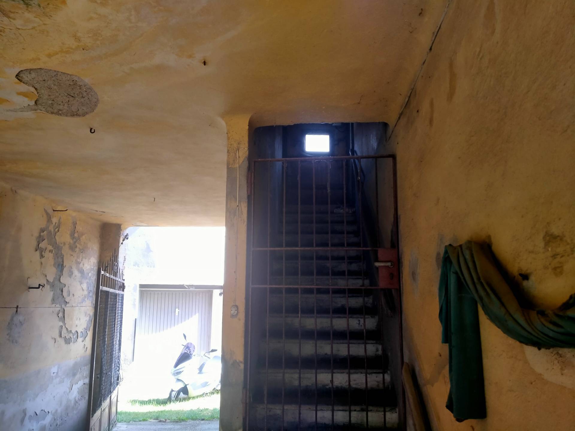 Foto annuncio 9