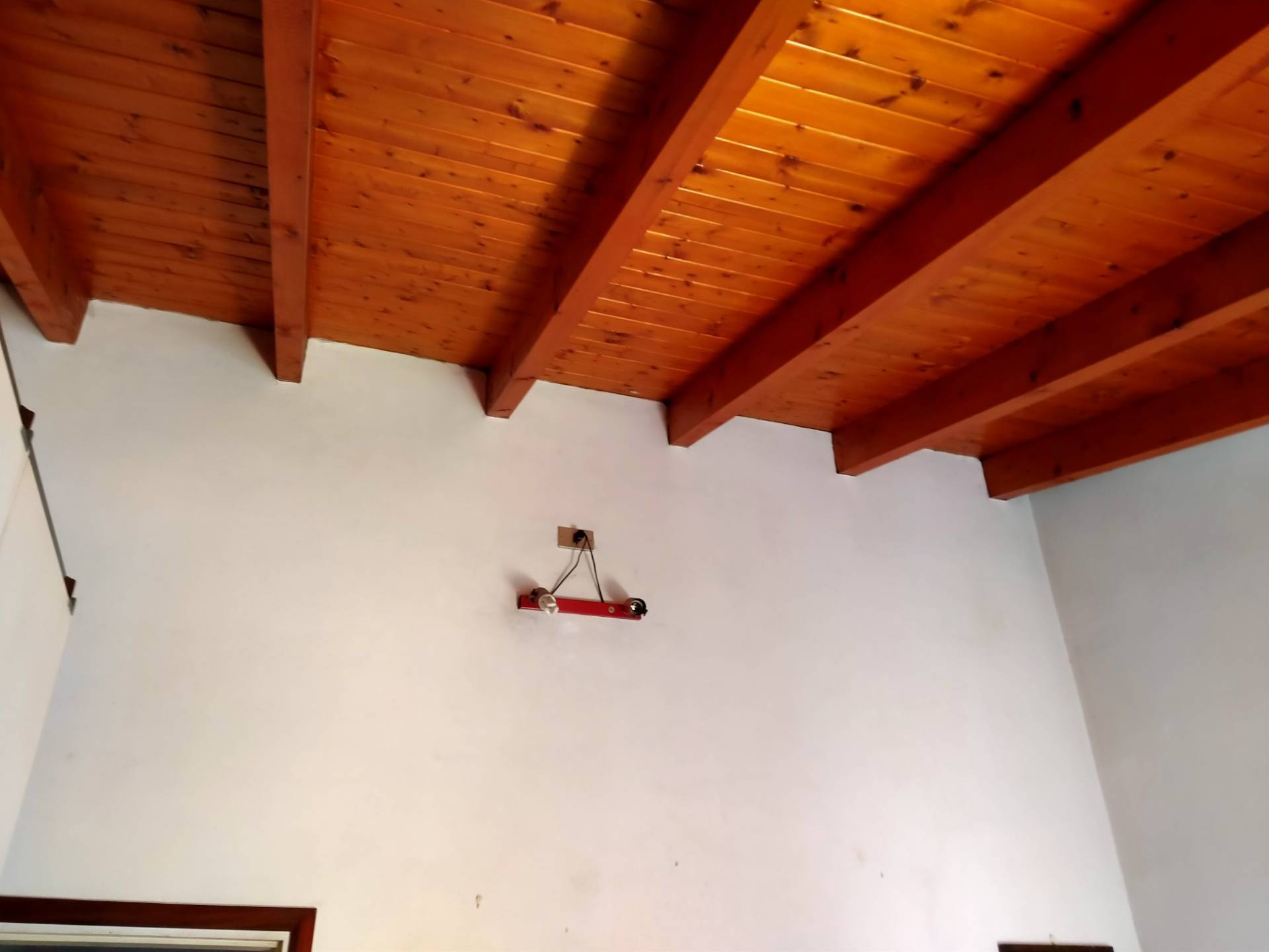 Foto annuncio 15