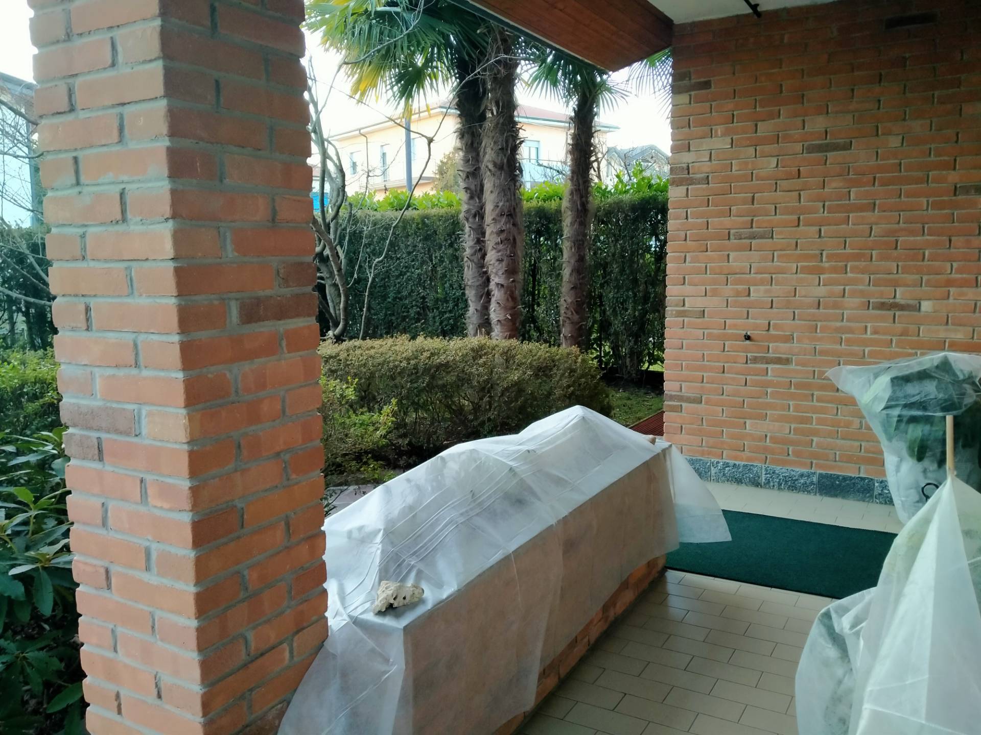 Foto annuncio 41