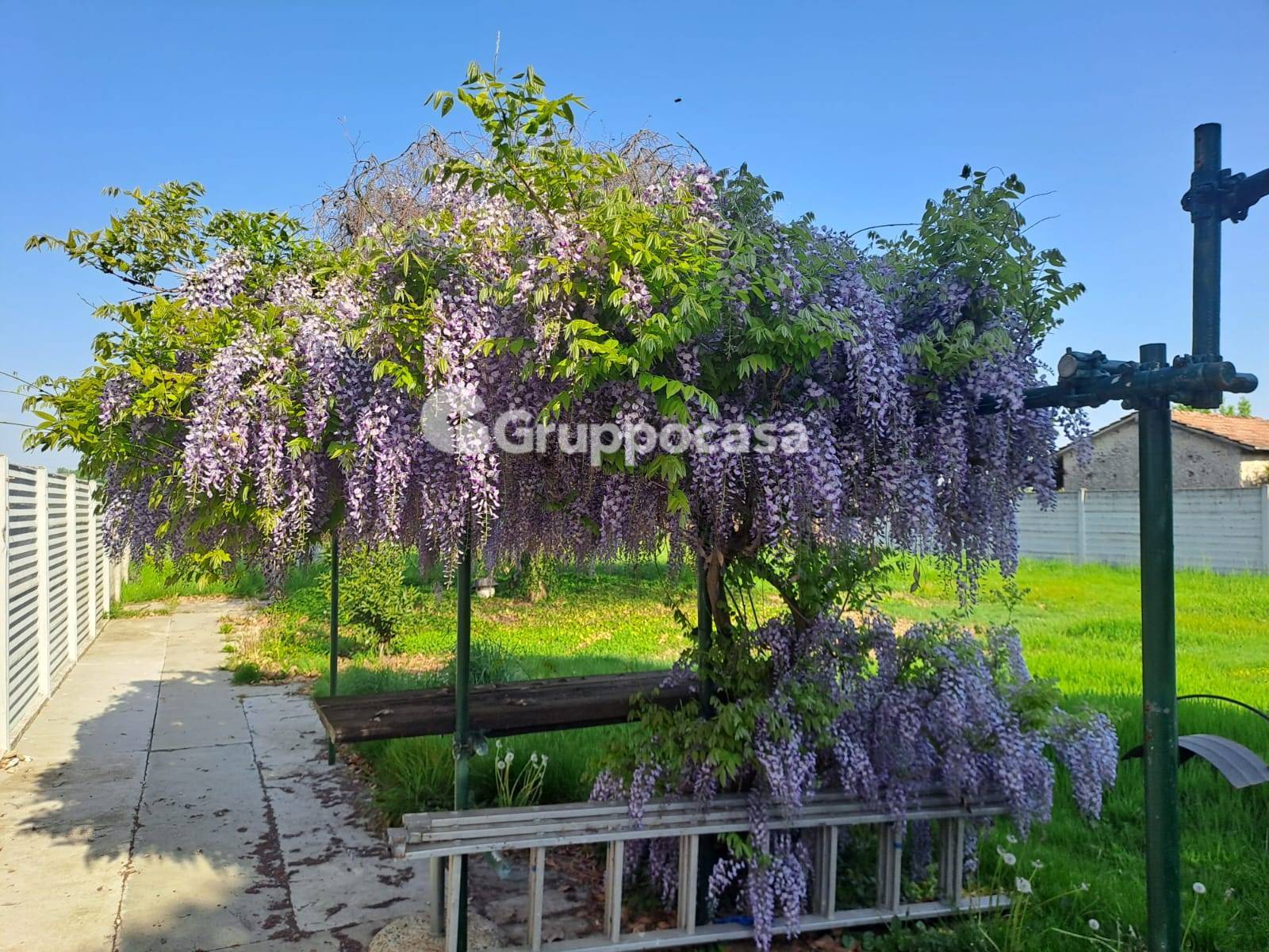 Foto annuncio 18